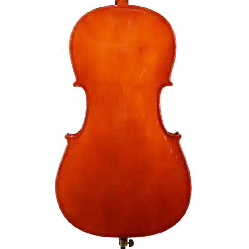 handmade cello model bc2 for supplier back view