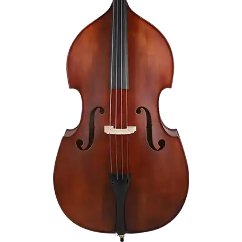 beginner student double bass model bs11 for manufacturer front view