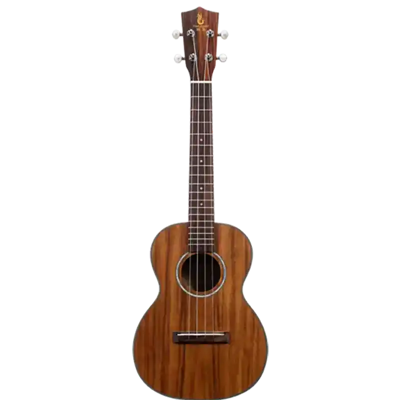 intermediate advanced ukulele model u3 for factory front view