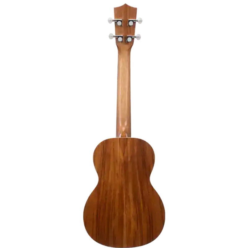 intermediate advanced ukulele model u4 for factory back view