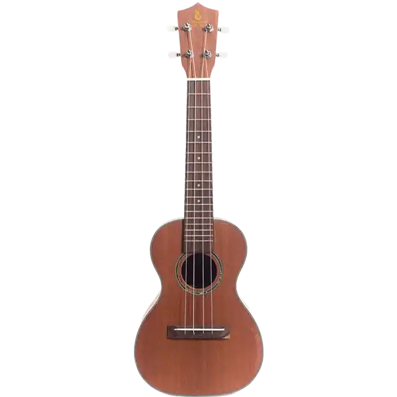 beginner student ukulele model u1 for oem front view