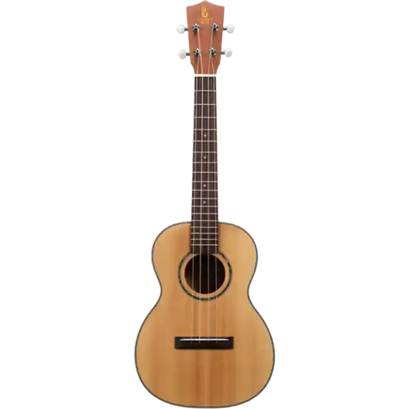 professional ukulele model u5 for supplier front view