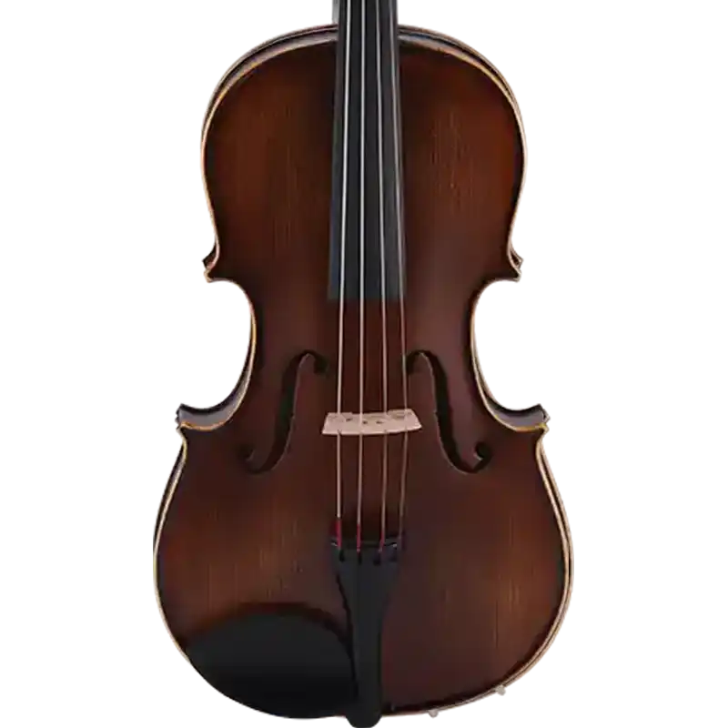 intermediate advanced viola model lva11 for oem front view