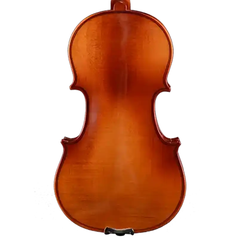 4/4 beginner student violin model b2 for factory back view
