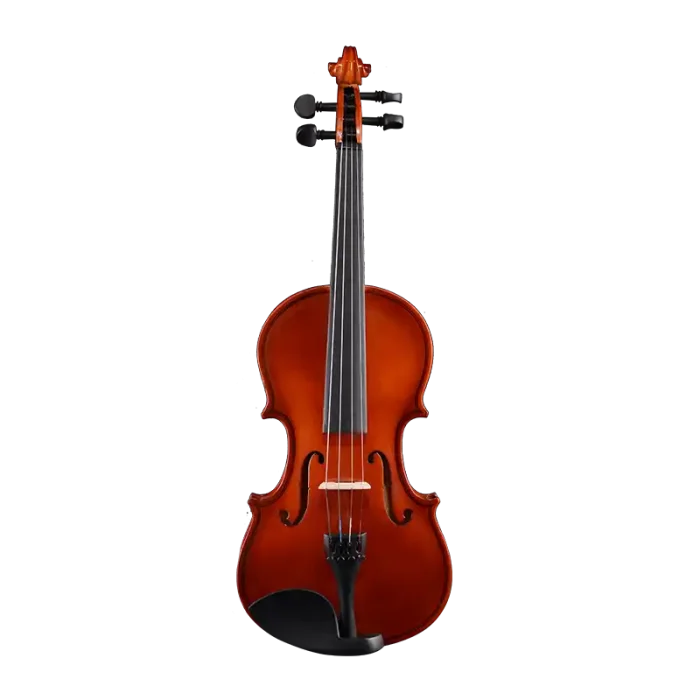 LV01 wholesale student violin outfit front view for music schools, dealers, and bulk B2B orders