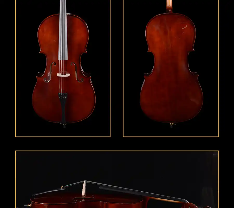cello bridge and standard strings setup detail