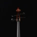 spruce top cello detail close-up for advancing students