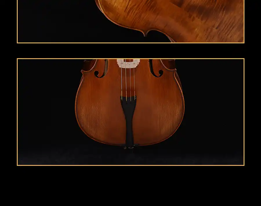 780 bow stick included with orchestra ready cello