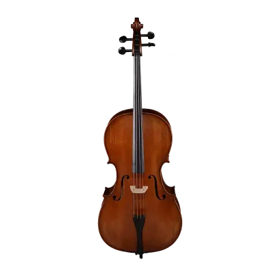 flamed maple spruce cello front view intermediate model
