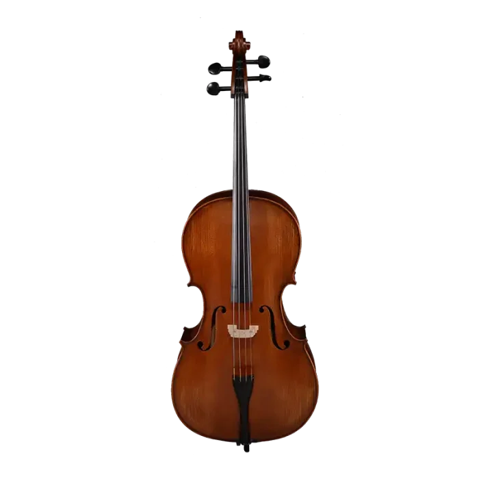flamed maple spruce cello front view intermediate model