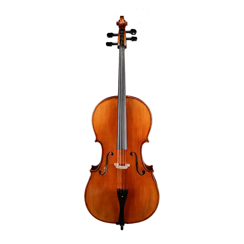 LC31 · Cello