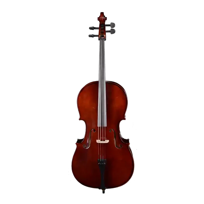 spruce top maple cello front view for beginner program