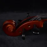 maple back and sides cello rear view craftsmanship