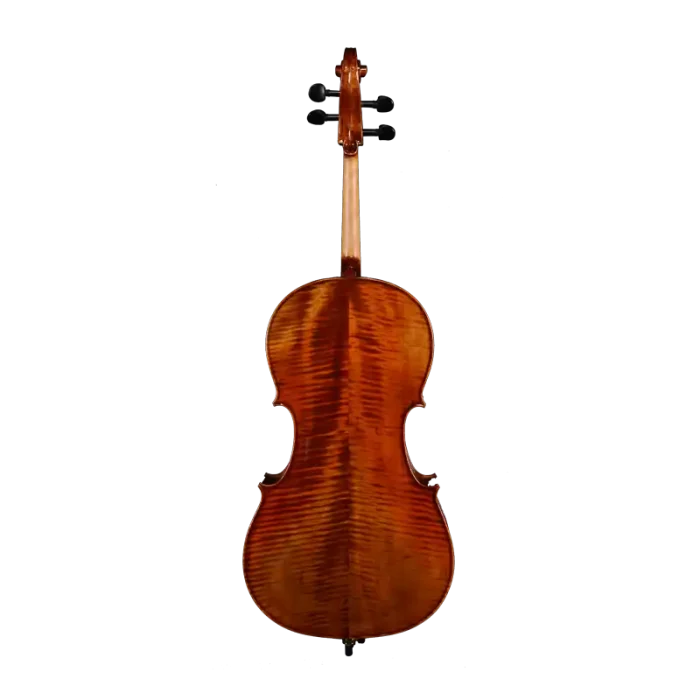 spruce top cello detail close-up smooth response setup