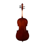 spruce top cello detail close-up under natural light