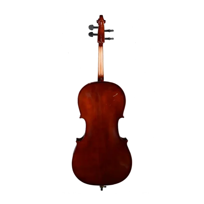 spruce top cello detail close-up under natural light