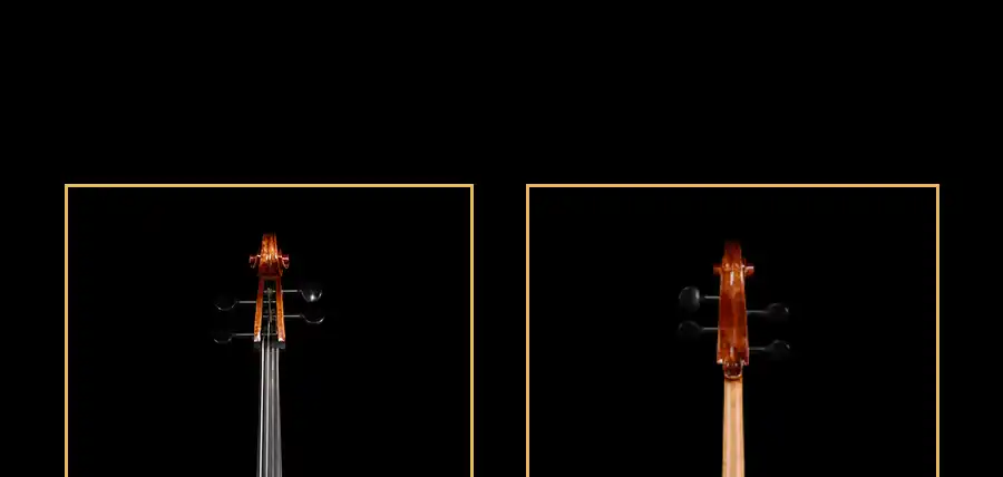 ebony tailpiece cello hardware detail clean finish