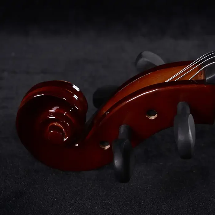 maple back and sides cello rear view craftsmanship