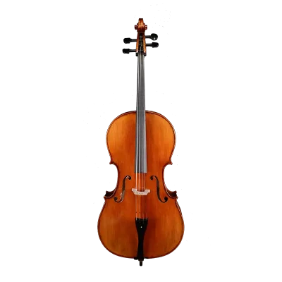 nylon silver string cello front view intermediate model