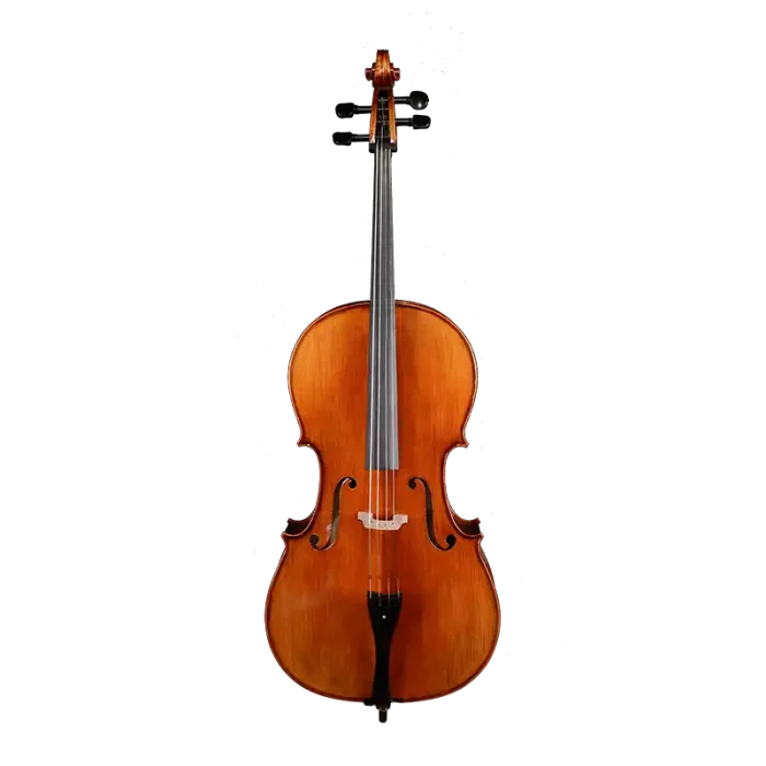 nylon silver string cello front view intermediate model