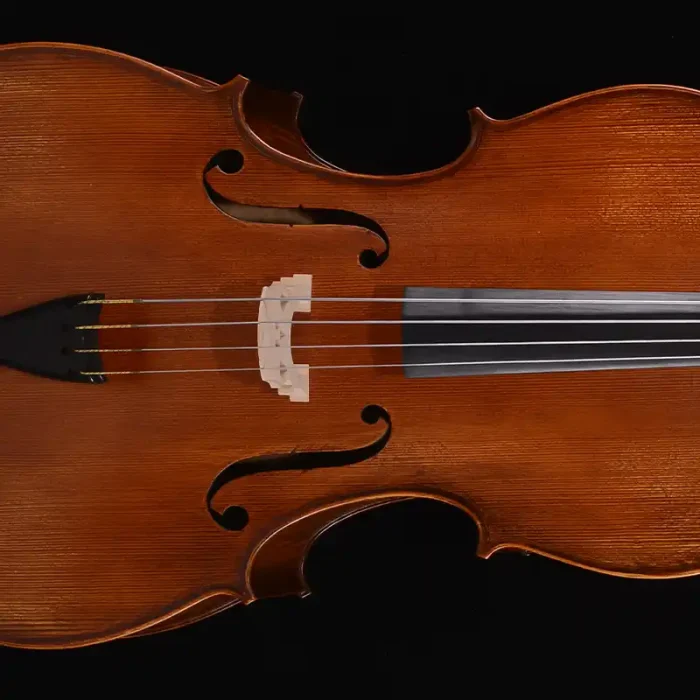 flamed maple back cello rear view premium figure