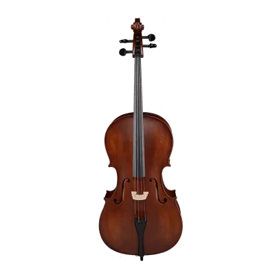 ebony-fitted spruce maple cello front view for beginners