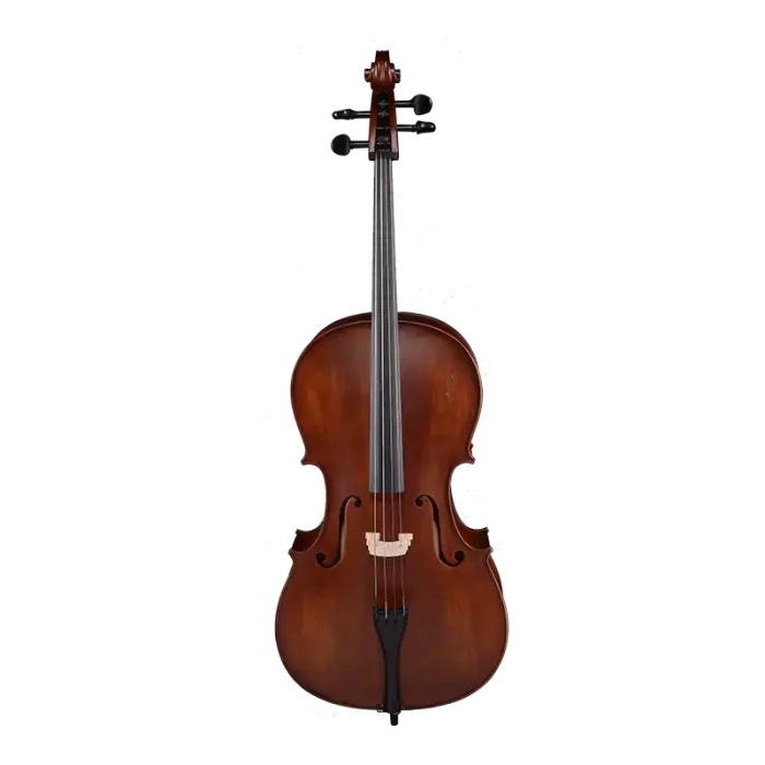 ebony-fitted spruce maple cello front view for beginners