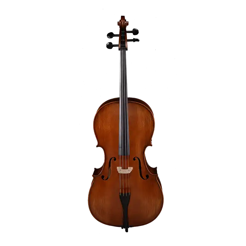 LC11 · Cello