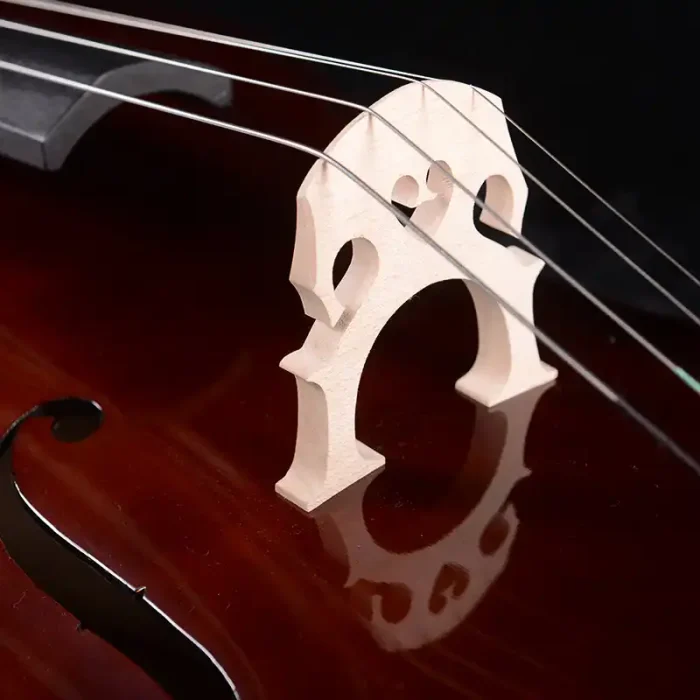 rosewood fingerboard cello detail for student practice