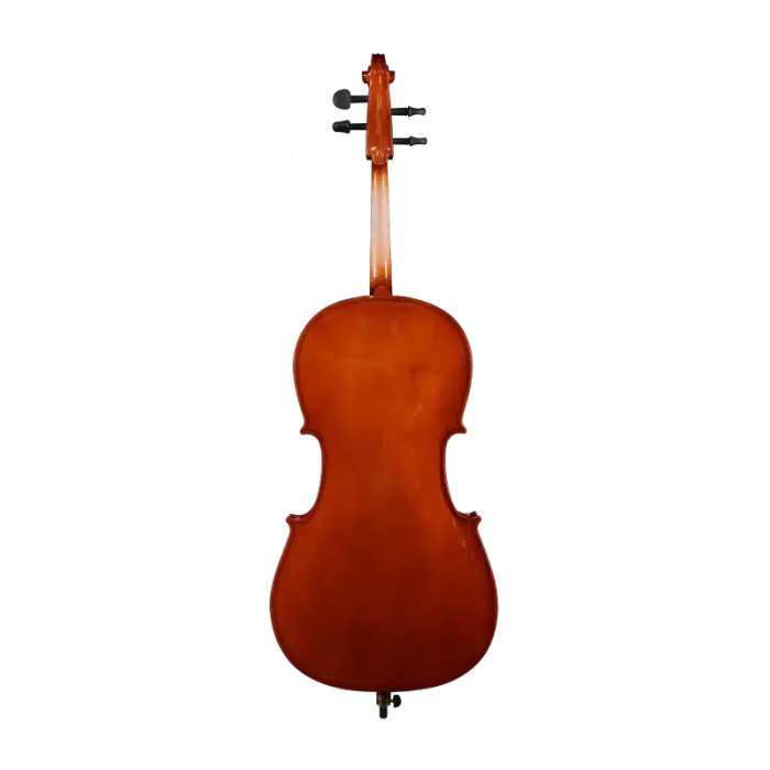 durable laminated cello for school program