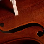 ebony pegs cello fittings close-up smooth tuning detail