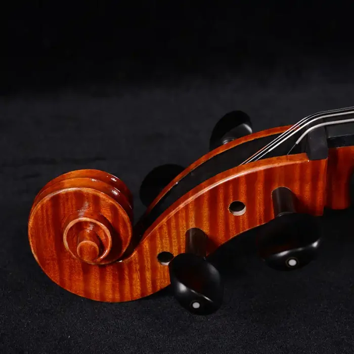 flamed maple back cello rear view premium figure