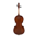 spruce top cello grain detail close-up for student use