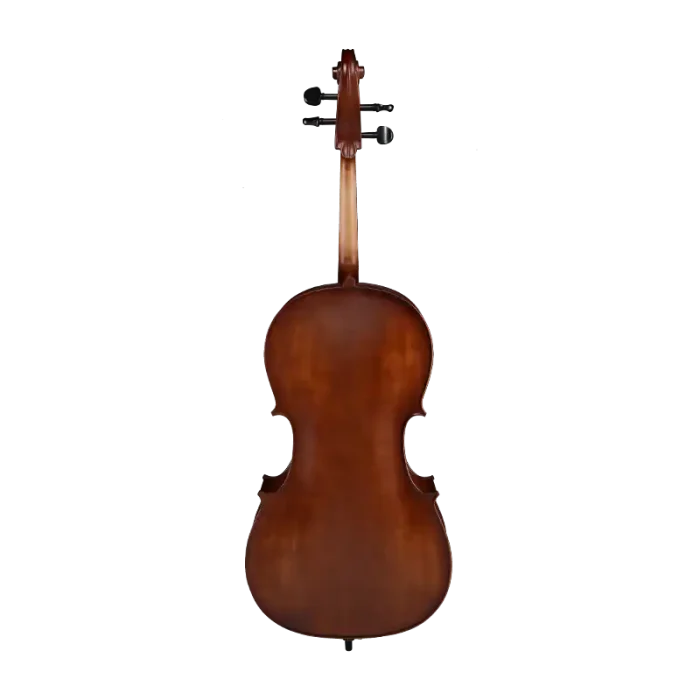 spruce top cello grain detail close-up for student use
