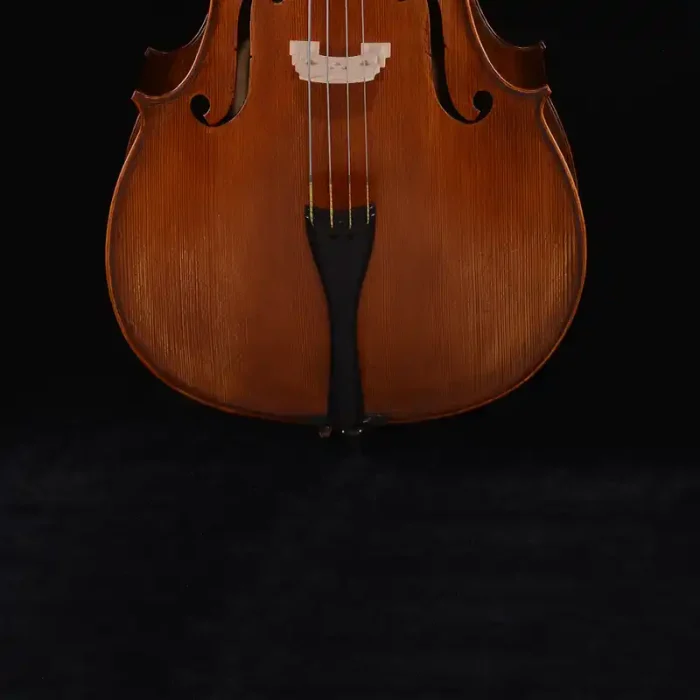 ebony fingerboard cello detail refined touchpoint