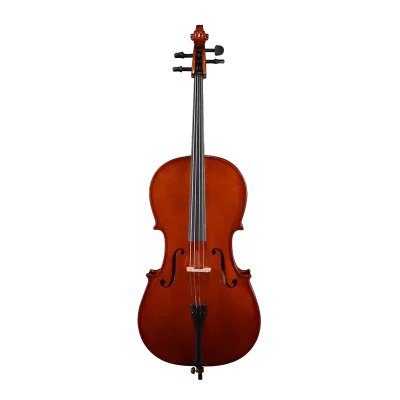 laminated cello front view for beginner orchestra