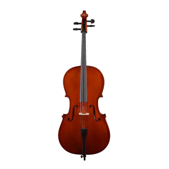laminated cello front view for beginner orchestra