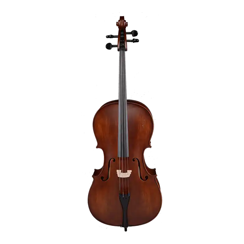LC03 · Cello