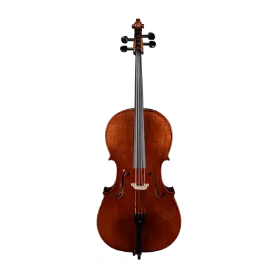 european aged tonewood cello front view professional modelview professional model