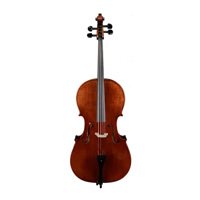 european aged tonewood cello front view professional modelview professional model