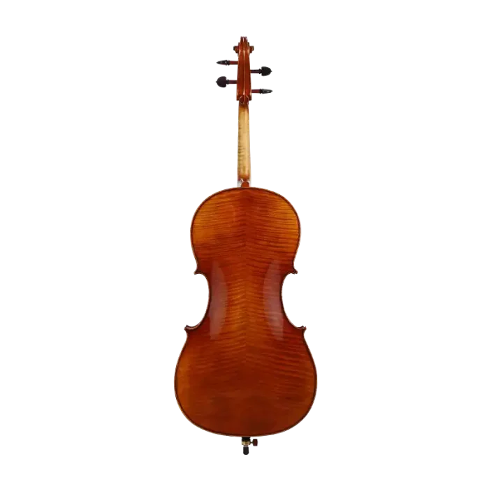 20-year seasoned european spruce top cello close-up detail