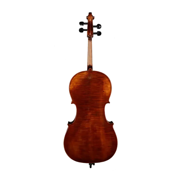 20-year seasoned european spruce top cello close-up