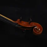 20-year seasoned european maple back cello flamed figure view
