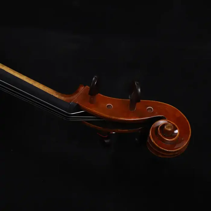 20-year seasoned european maple back cello flamed figure view