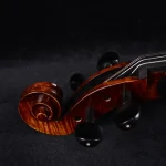 20-year seasoned european maple back cello flamed figure