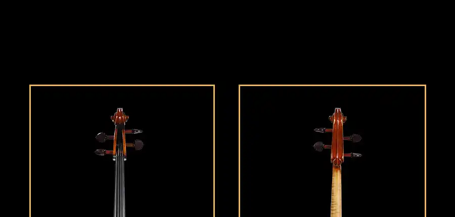 premium imported strings setup detail on professional cello