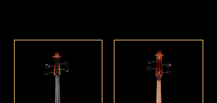 premium strings setup detail on professional cello