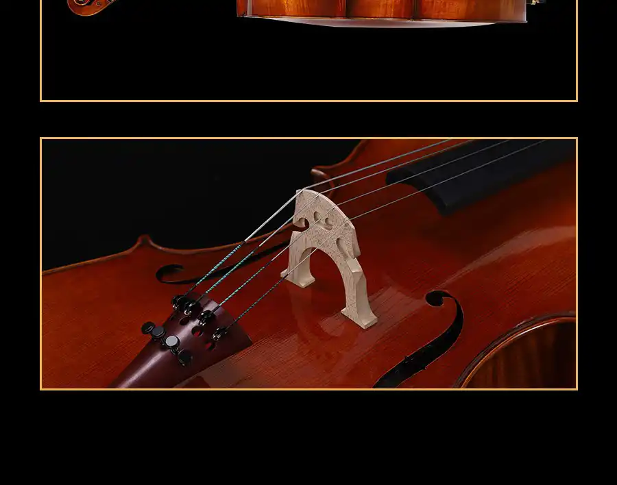 professional cello full body studio photo export ready delivery