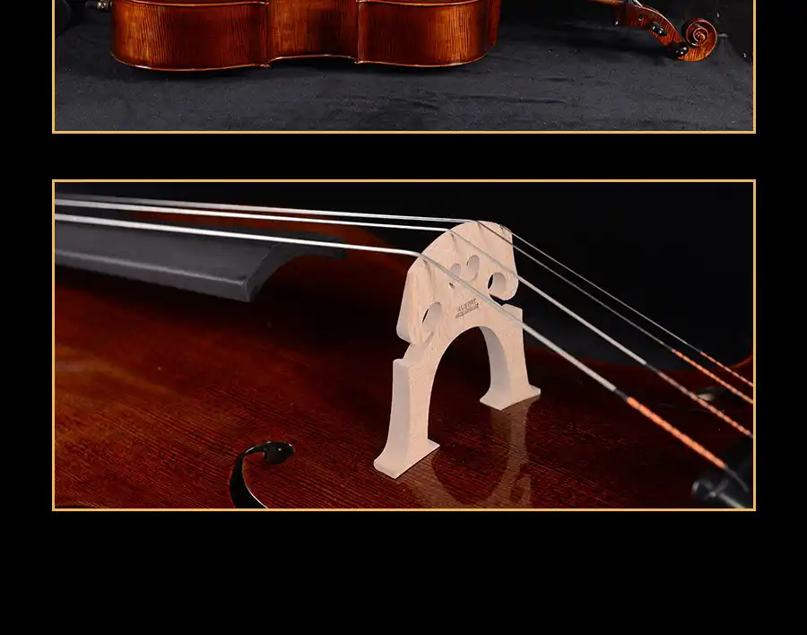 professional cello full body studio photo export ready