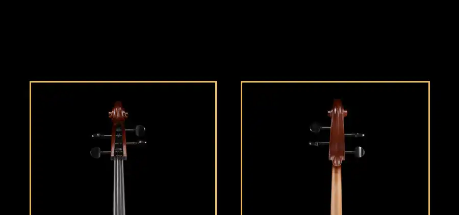 cello bridge and standard strings setup detail
